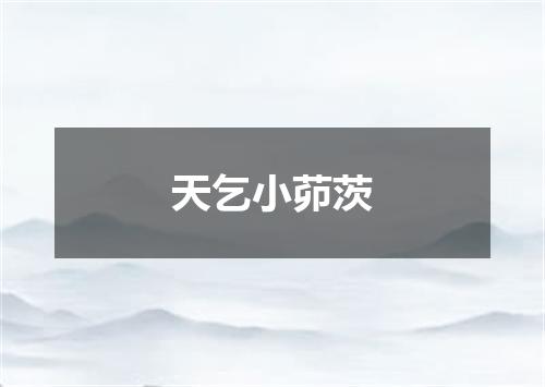 天乞小茆茨