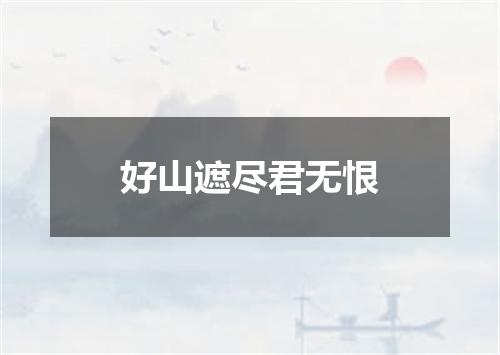 好山遮尽君无恨