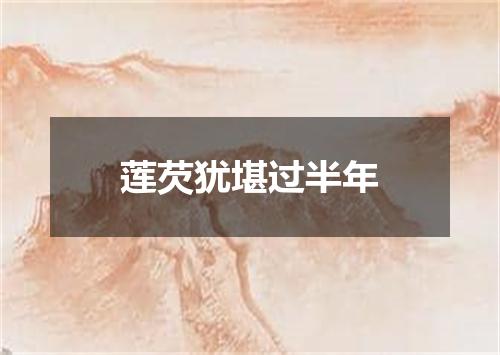 莲芡犹堪过半年