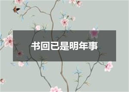 书回已是明年事