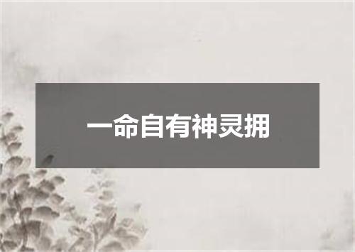 一命自有神灵拥