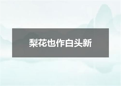 梨花也作白头新