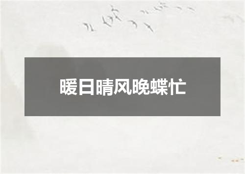 暖日晴风晚蝶忙