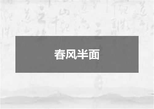 春风半面