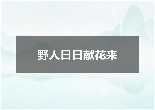 野人日日献花来