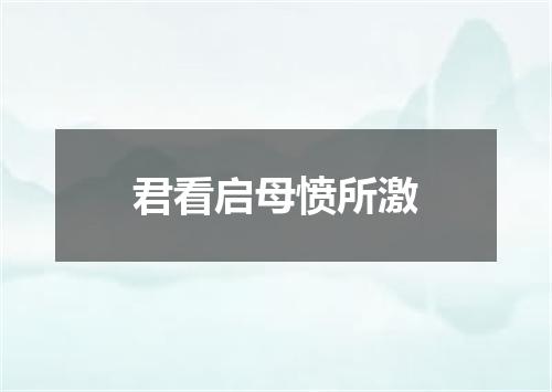 君看启母愤所激