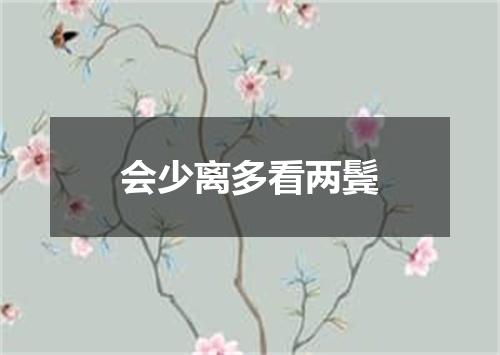 会少离多看两鬓