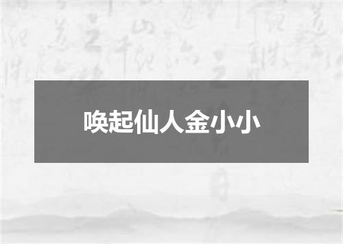 唤起仙人金小小