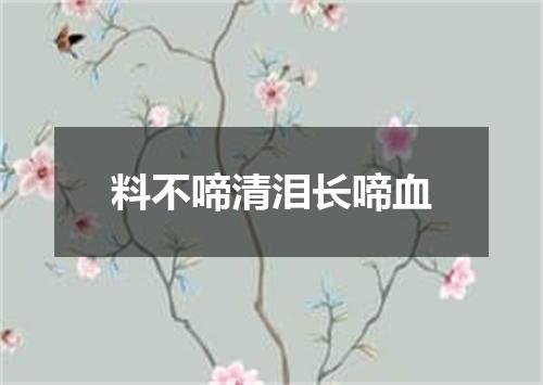 料不啼清泪长啼血