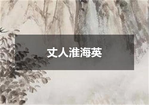 丈人淮海英