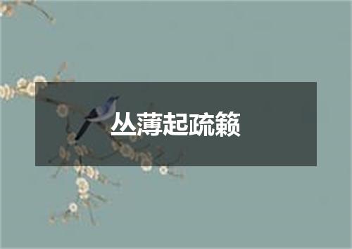 丛薄起疏籁