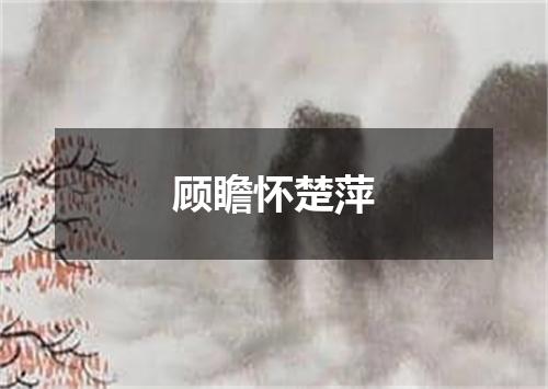 顾瞻怀楚萍