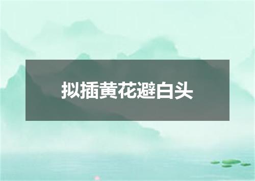 拟插黄花避白头