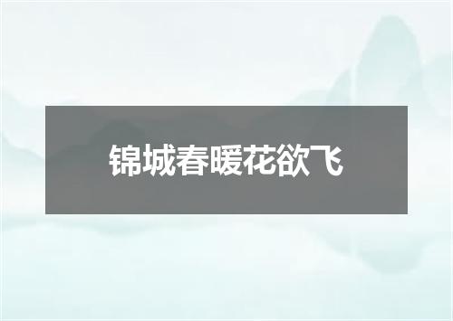 锦城春暖花欲飞