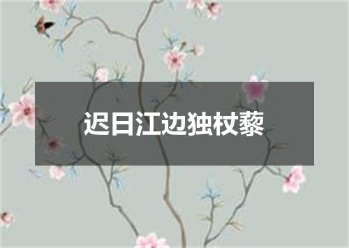 迟日江边独杖藜