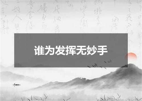 谁为发挥无妙手