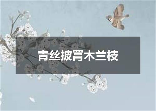 青丝披罥木兰枝