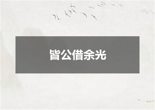 皆公借余光