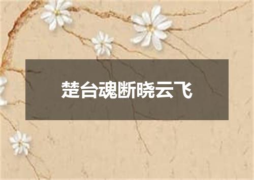 楚台魂断晓云飞