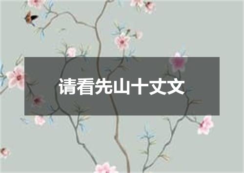 请看先山十丈文