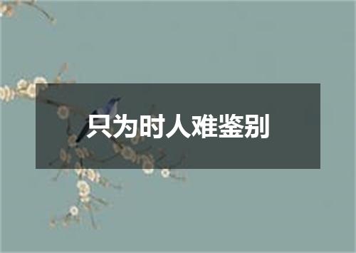 只为时人难鉴别