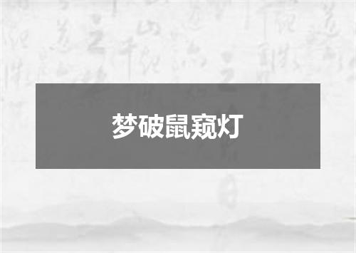梦破鼠窥灯