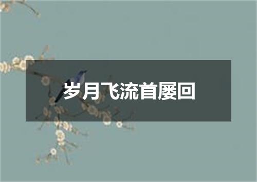 岁月飞流首屡回