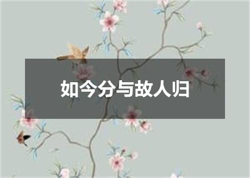 如今分与故人归
