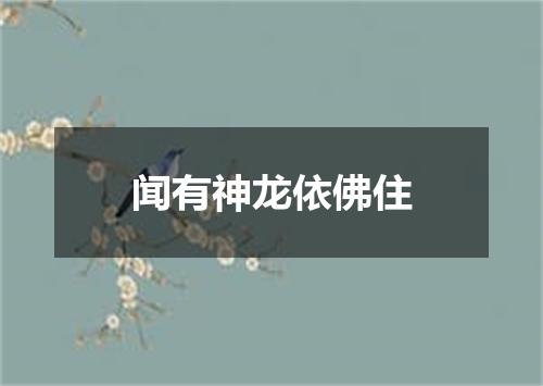 闻有神龙依佛住