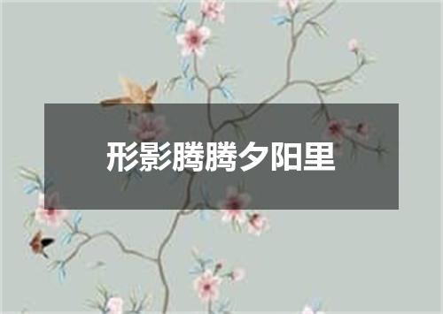形影腾腾夕阳里