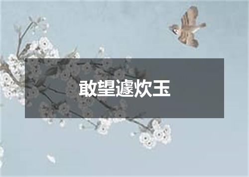 敢望遽炊玉