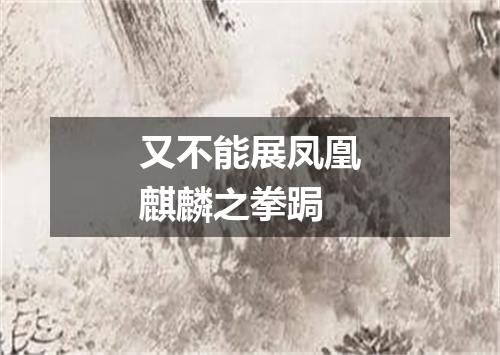 又不能展凤凰麒麟之拳跼