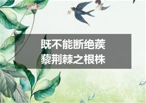 既不能断绝蒺藜荆棘之根株