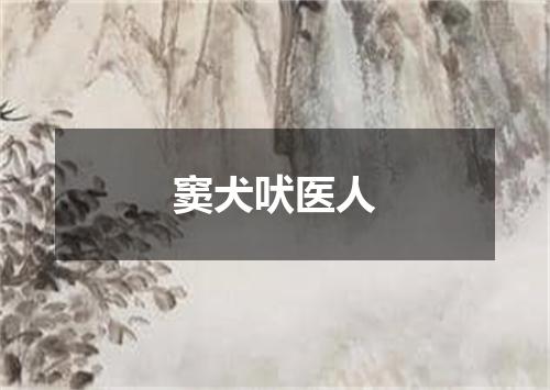 窦犬吠医人