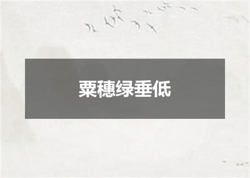 粟穗绿垂低