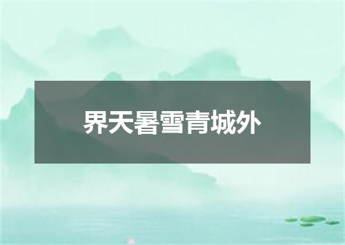 界天暑雪青城外