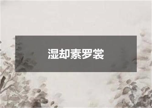 湿却素罗裳