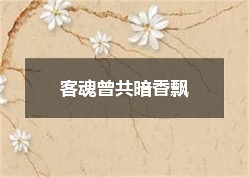 客魂曾共暗香飘