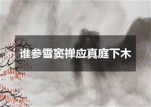 谁参雪窦禅应真庭下木