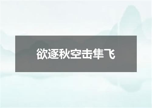欲逐秋空击隼飞