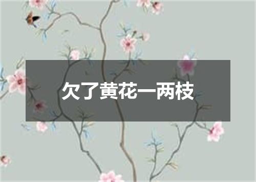 欠了黄花一两枝