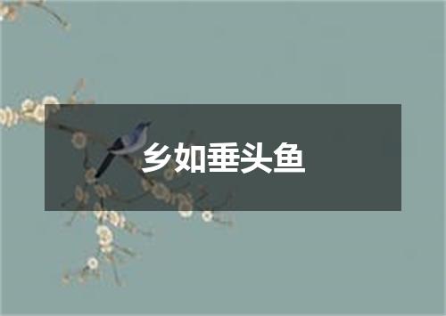 乡如垂头鱼