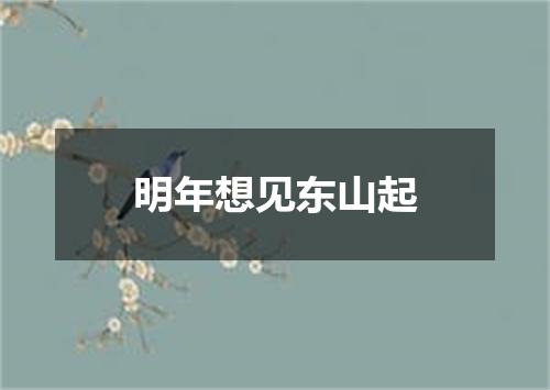 明年想见东山起