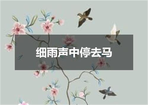 细雨声中停去马
