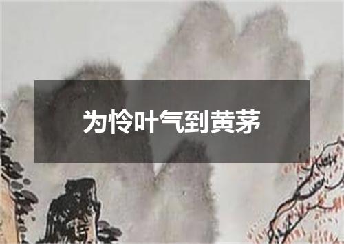 为怜叶气到黄茅