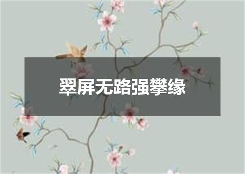 翠屏无路强攀缘