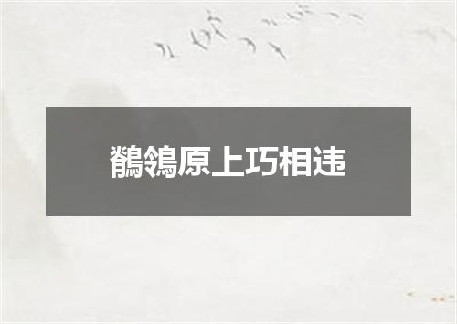 鶺鴒原上巧相违