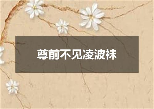 尊前不见凌波袜