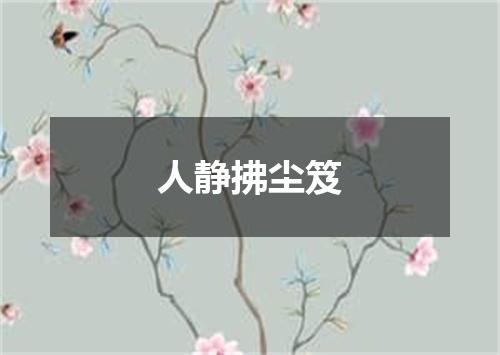 人静拂尘笈