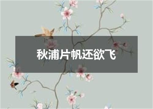 秋浦片帆还欲飞